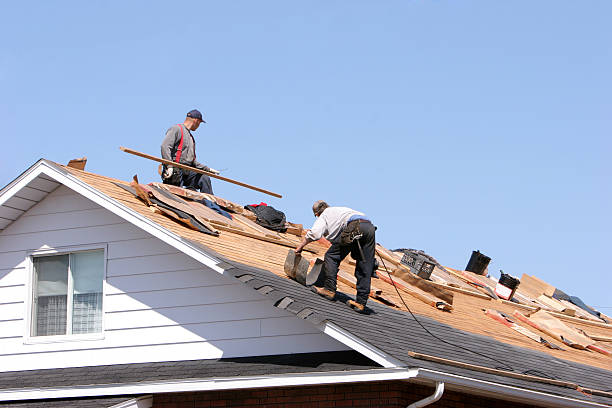 Best Gutter Installation and Repair  in Franklinville, NC
